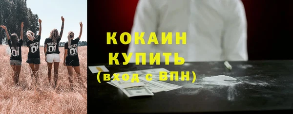 скорость Вяземский