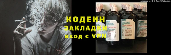 скорость Вяземский