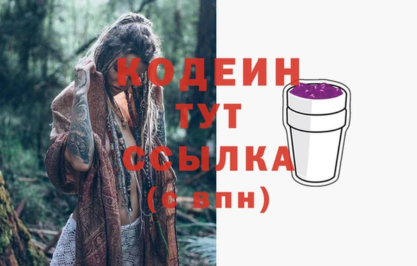 скорость Вяземский